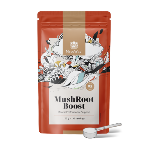 MushRoot Boost - Getränk für geistige Leistungsfähigkeit, 100 g
