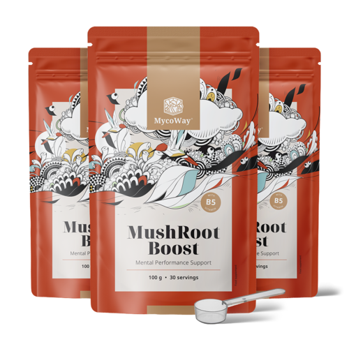 3x MushRoot Boost - Getränk für geistige Leistungsfähigkeit, zusammen 300 g