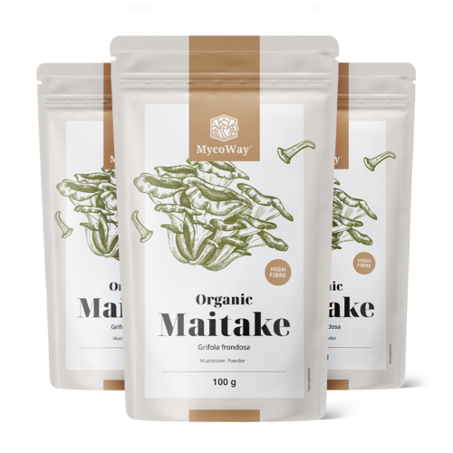3x BIO Maitake Pulver, zusammen 300 g