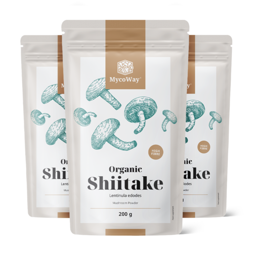 3x BIO Shiitake-Pulver, zusammen 600 g