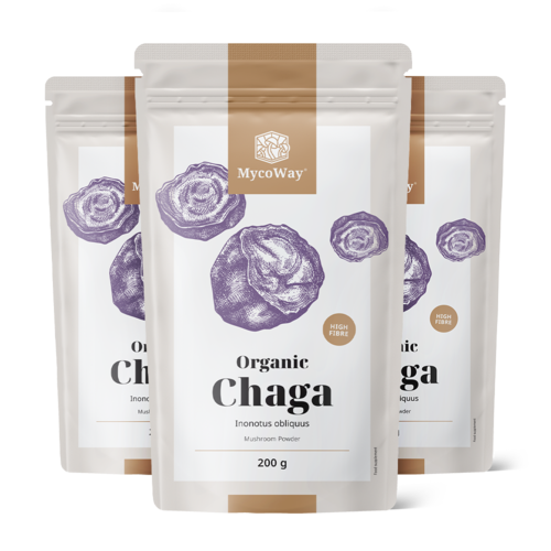 3x BIO Chaga Pulver, zusammen 600 g