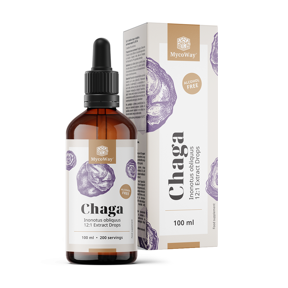 Chaga - Extrakt in Tropfen