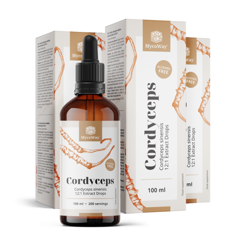 3x Cordyceps – Extrakt in Tropfen, zusammen 300 ml