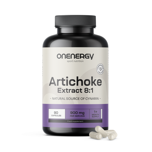Artischocke – Extrakt 8:1, 90 Kapseln