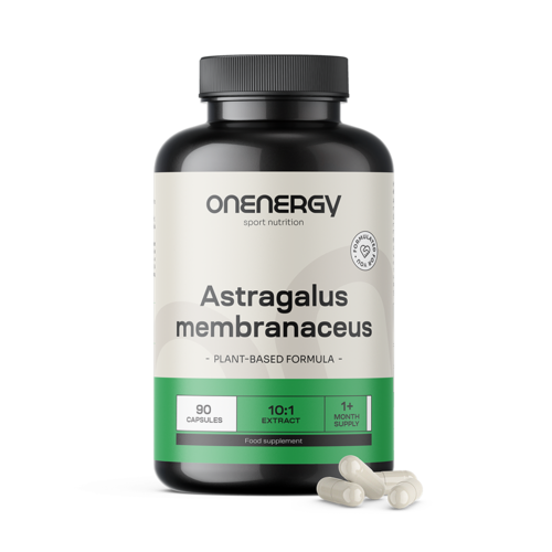Astragalus – Extrakt 10:1, 90 Kapseln