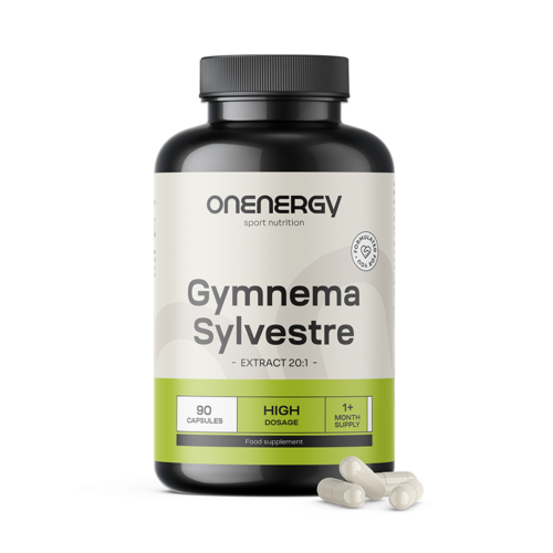 Gurmar (Gymnema Sylvestre) – Extrakt 20:1, 90 Kapseln