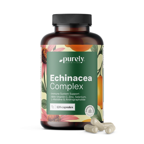Immunsystem-Komplex mit Echinacea, 120 Kapseln