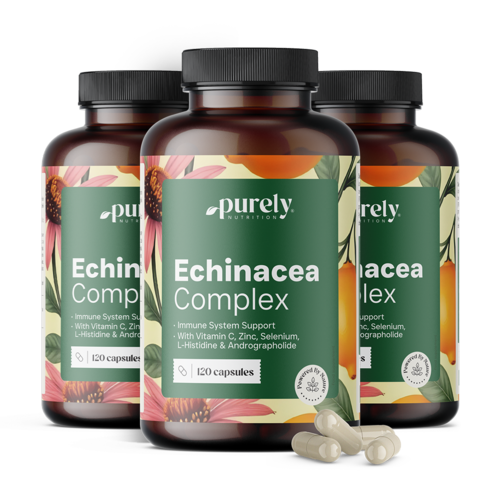 3x Immunsystem-Komplex mit Echinacea, zusammen 360 Kapseln