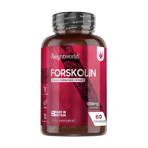 Indische Buntnessel – Forskolin 1000 mg, 60 Kapseln