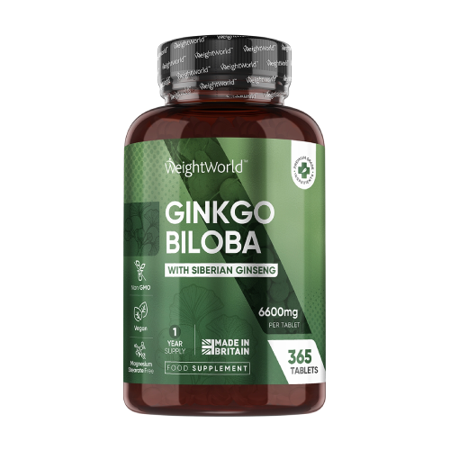 Gingko Biloba mit Sibirischem Ginseng, 365 Tabletten